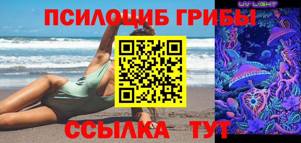 Галлюциногенные грибы прущие грибы Кольчугино